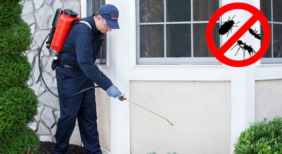 Konyaaltı Pire İlaçlama böcek ilaçlama ve haşere kontrolü — ilaclama-tr.com